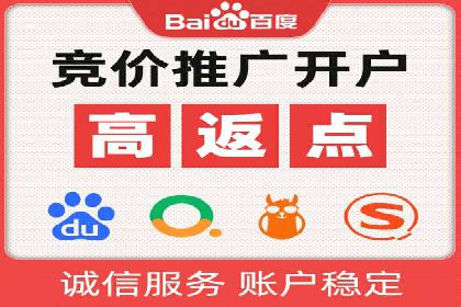 专业SEM服务公司案例分析报告